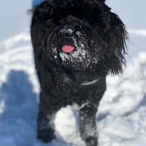 Meet your Posher, Kimberly